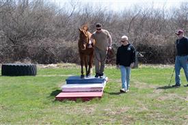 LR-WRF 0402026 Retreat-3399